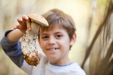 Image showing Boy with mushroom