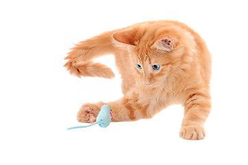 Image showing Orange Kitten Playing with Toy Mouse