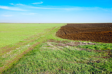 Image showing green and black field in spring