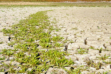 Image showing view to earth with cracks and grass