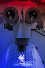 Image showing Microscope in the mystical light