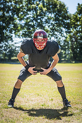 Image showing concentrated american football player