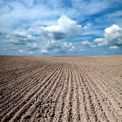 Image showing black ploughed field