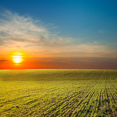 Image showing last sunrays under green field
