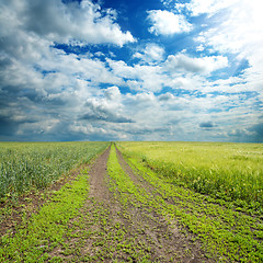 Image showing rural road in green field