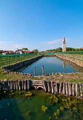 Image showing Venice Burano Mazorbo vineyard