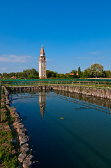 Image showing Venice Burano Mazorbo vineyard