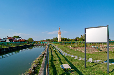 Image showing Venice Burano Mazorbo vineyard