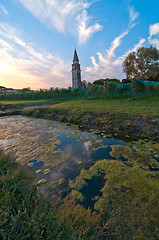 Image showing Venice Burano Mazorbo vineyard