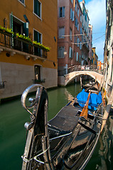 Image showing Venice Italy Gondolas on canal 