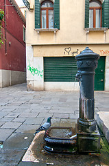 Image showing Venice  Italy unusual pittoresque view