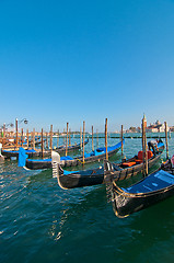 Image showing Venice Italy pittoresque view of gondolas 