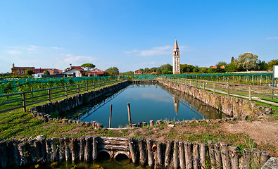 Image showing Venice Burano Mazorbo vineyard