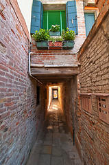 Image showing Venice Italy pittoresque view