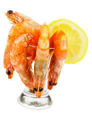 Image showing Shrimp Cocktail