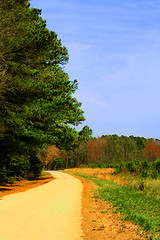 Image showing Country Lane