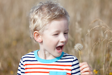 Image showing boy at summer