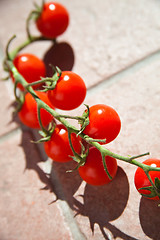 Image showing cherry tomatoes 