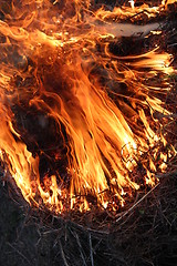 Image showing Fire in the field