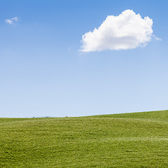 Image showing Green field in Tuscany