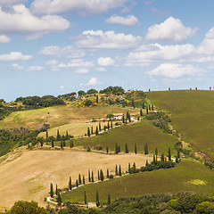 Image showing La Foce