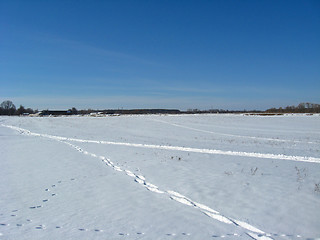 Image showing Traces on a snow