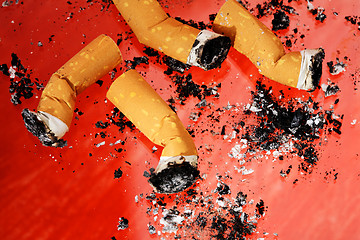 Image showing Cigarette Butts