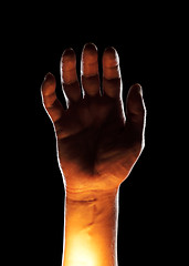 Image showing Bizarre Hand