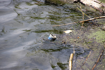 Image showing Trash in nature