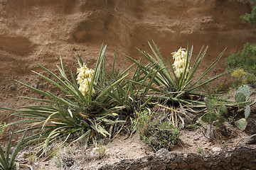 Image showing Hike through Tent Rocks National Monument