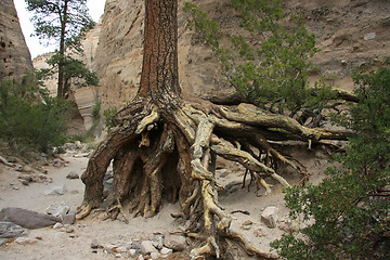 Image showing Hike through Tent Rocks National Monument