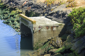 Image showing Trash in nature