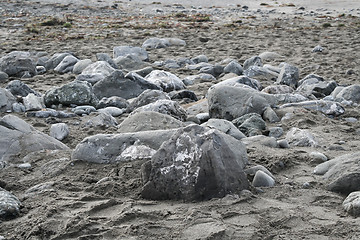 Image showing Stony beach