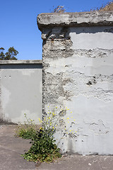 Image showing Abandoned Building