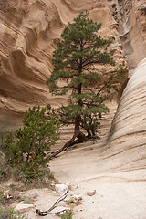 Image showing Hike through Tent Rocks National Monument