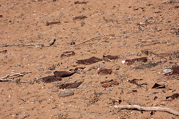 Image showing Trash in nature