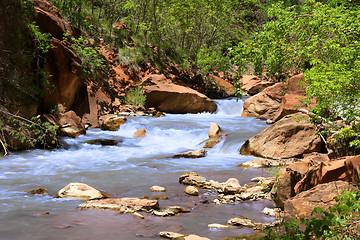 Image showing Water is moving life