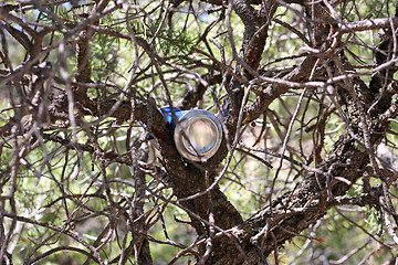 Image showing Trash in nature