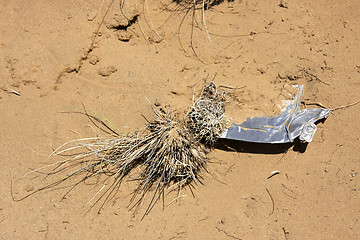 Image showing Trash in nature