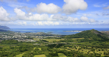 Image showing Living in paradise