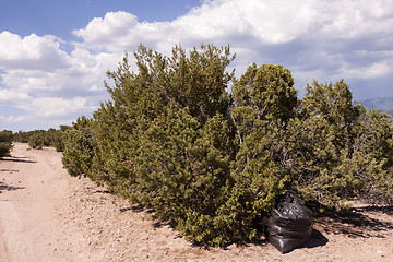 Image showing Trash in nature