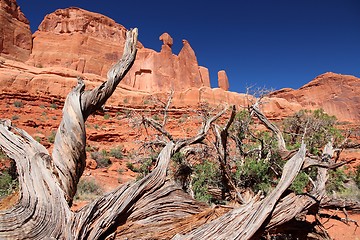 Image showing Utah - Arches National Park