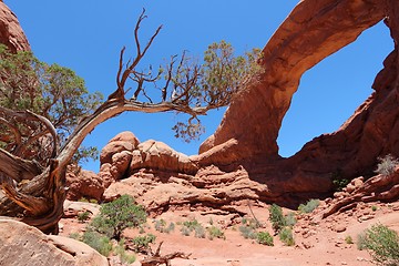 Image showing Arches National Park