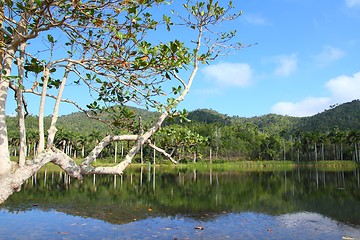 Image showing Cuba nature