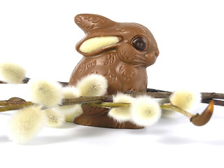 Image showing Chocolate Easter Bunny