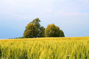 Image showing Landscape