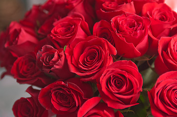 Image showing roses background