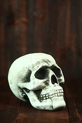 Image showing Skull on Wood Grunge Rustick Background