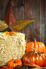 Image showing Fall Themed Scene With Pumpkins on Wood 