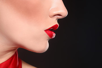 Image showing Fashion Beauty Make Up With Matching Lips and Nails